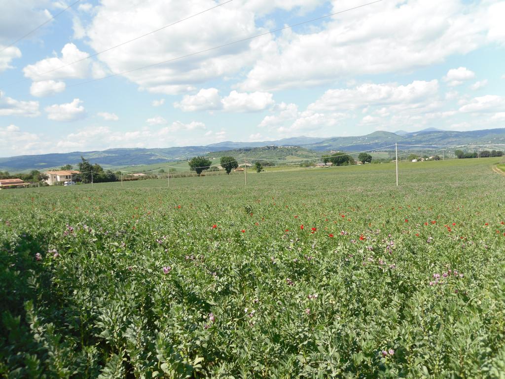 Agriturismo Il Giardino Saturnia Bagian luar foto