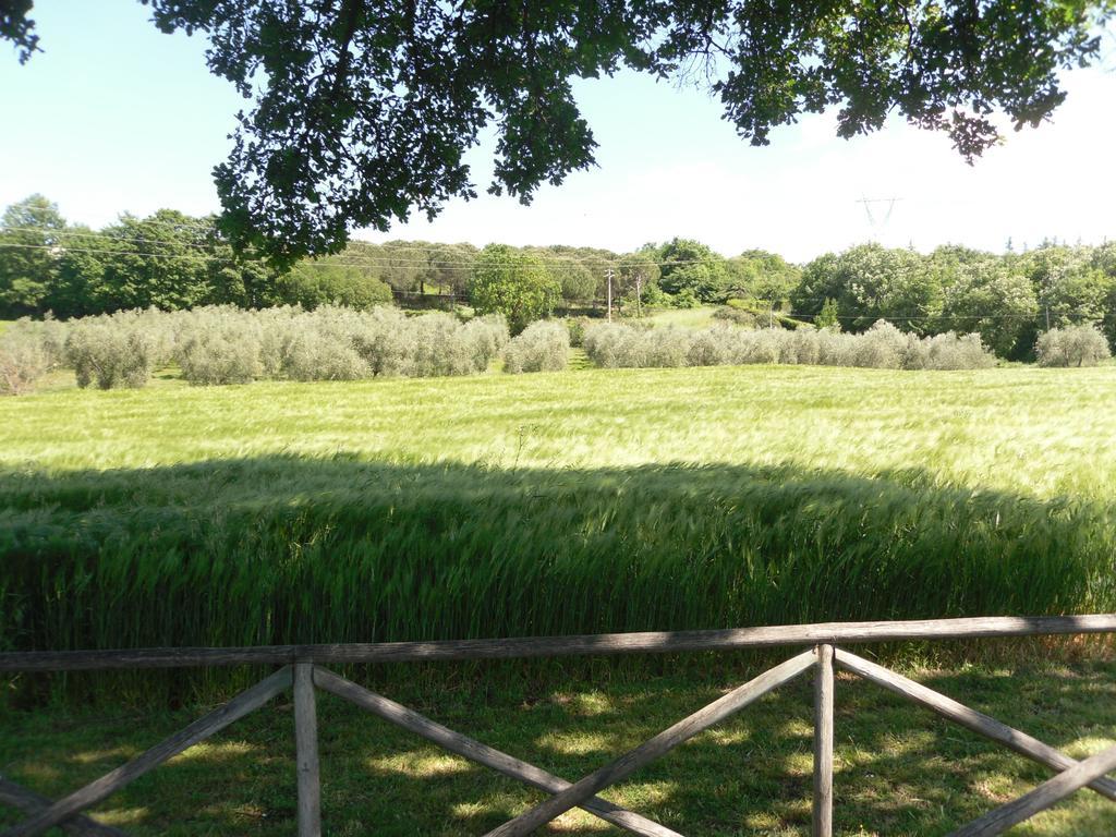 Agriturismo Il Giardino Saturnia Bagian luar foto