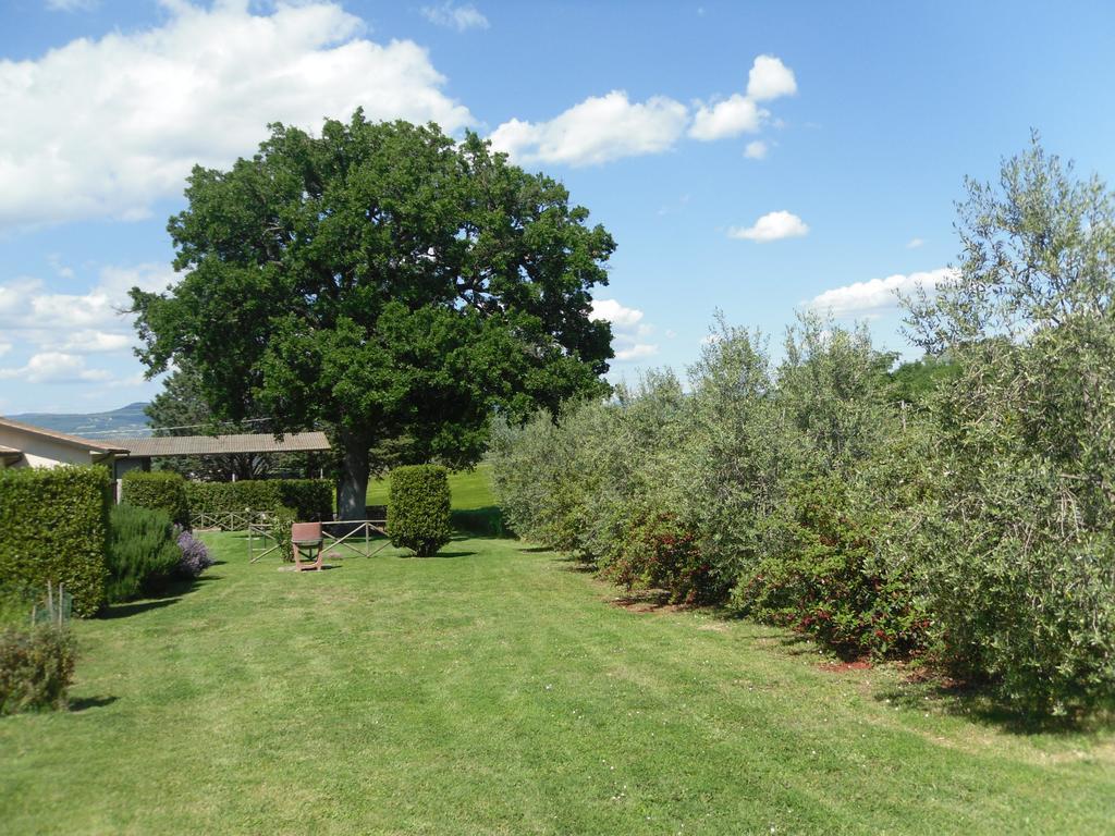 Agriturismo Il Giardino Saturnia Bagian luar foto